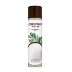 Coconut Palm